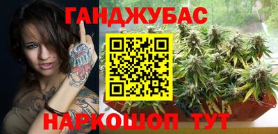 сатива Моздок