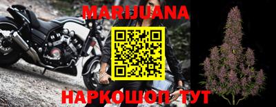 сатива Моздок