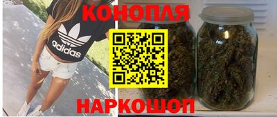 сатива Моздок