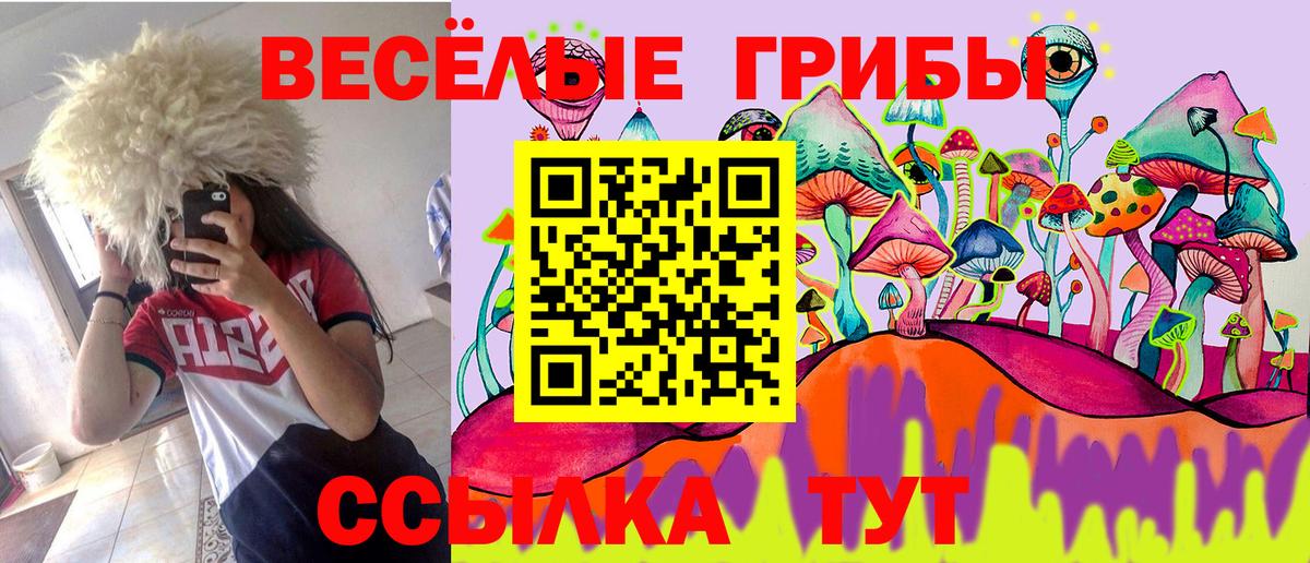 Галлюциногенные грибы Psilocybine cubensis Соликамск