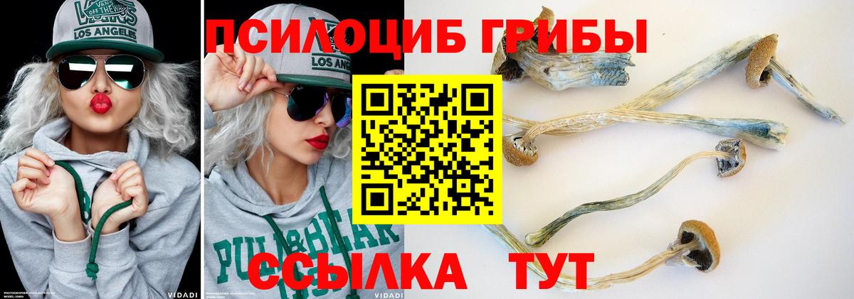 Псилоцибиновые грибы Psilocybine cubensis  Вход с VPN  Соликамск  Псилоцибиновые грибы мухоморы 